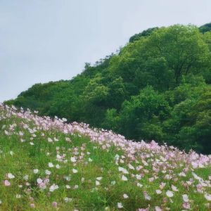podcaster-avatar
