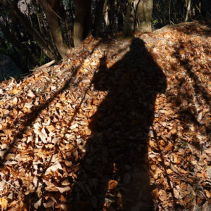 13 丁奶奶的新年熊野古道中边路全踏破