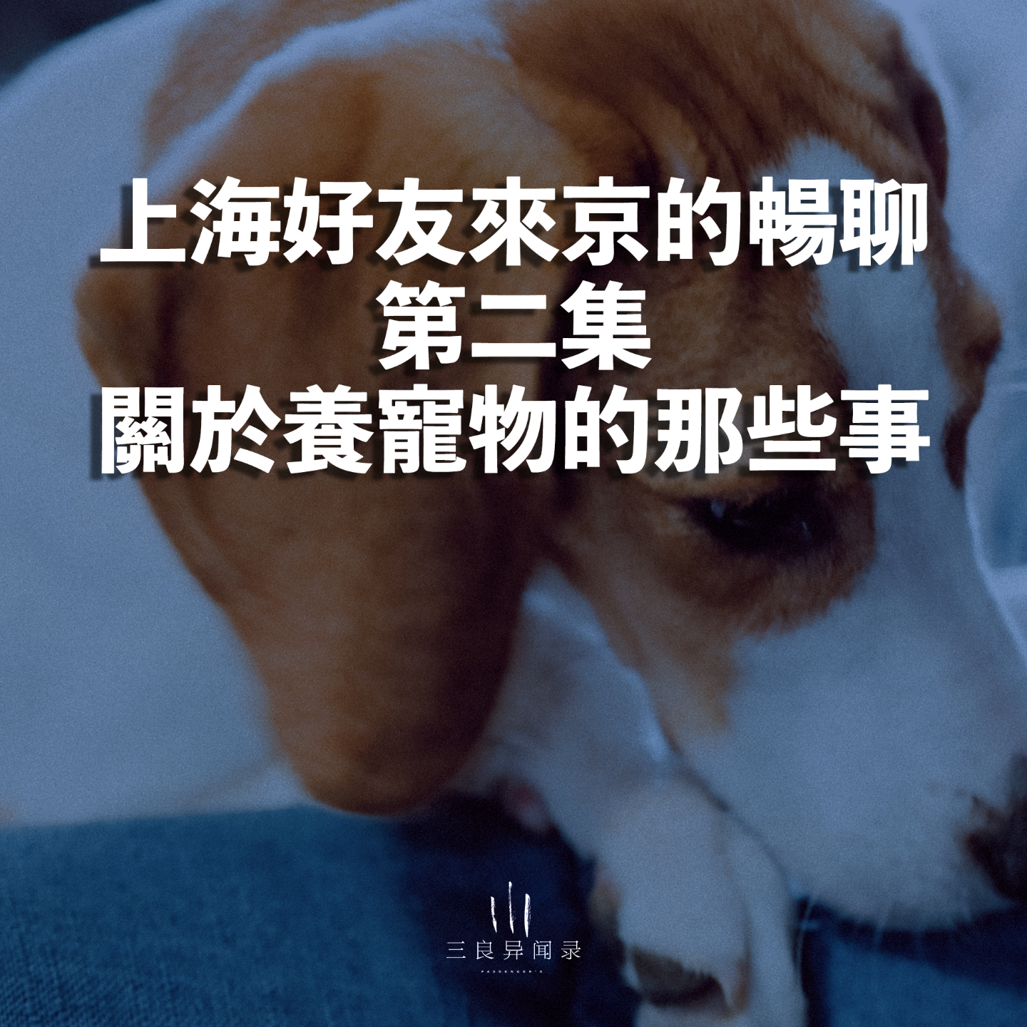 【三良日常】关于养宠物的那些事 | 上海好友来京的畅聊系列 第二集 episode artwork