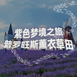 纯人声18mins | 普罗旺斯的薰衣草田｜沉浸式引导睡眠｜高质量中文快速深度催眠冥想放松助眠