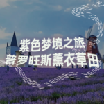 纯人声18mins | 普罗旺斯的薰衣草田｜沉浸式引导睡眠｜高质量中文快速深度催眠冥想放松助眠