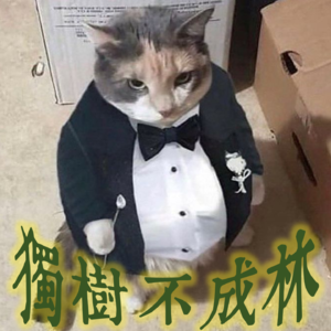 162-如何欣赏古典音乐？