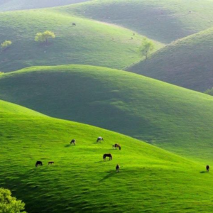 庄子·逍遥游：生命都有珍贵意义