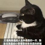 游子挂树
