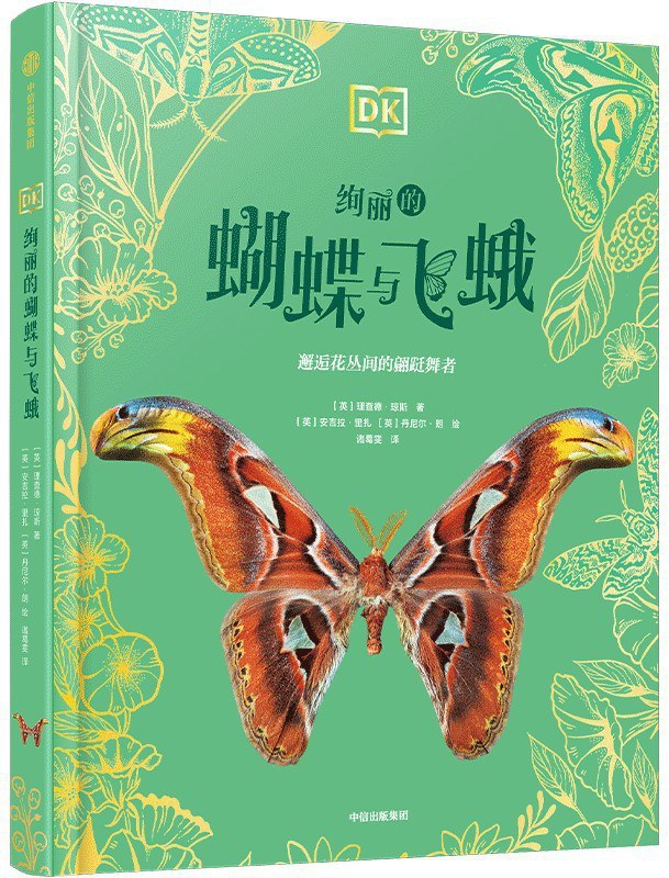 DK绚丽的蝴蝶与飞蛾