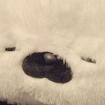 傲八玛