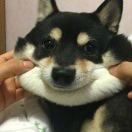 Fxy_F0qf