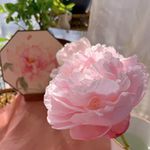 風姿花傳