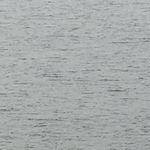 键盘和鼠标是cp