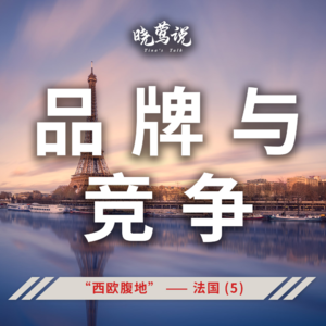 全球主流汽车市场 (第九集) “西欧腹地” —— 法国 (4) ：品牌与竞争