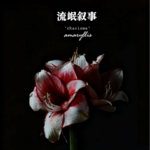 vol.5.山高路远不必停：你知道吗？故事里最迷人的章节不是爱