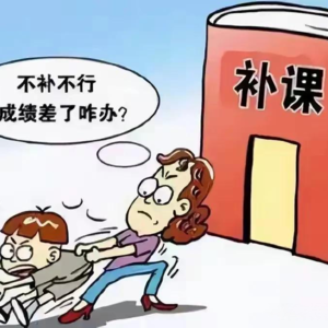 疯狂的宝妈和最好的行业