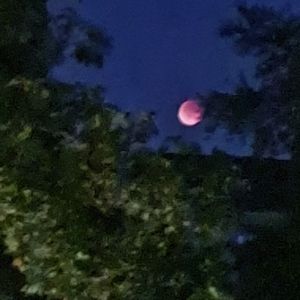 podcaster-avatar