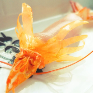 38. 《中华小当家》,穿越29年的厨房注脚和料理哲学