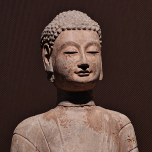 045｜青州三日：既是一座县级博物馆的逆袭，也是绿肥红瘦的诞生地