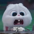 深黄的丑橘