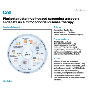 717-Sildenafil as a Repurposable Therapy for Leigh Syndrome