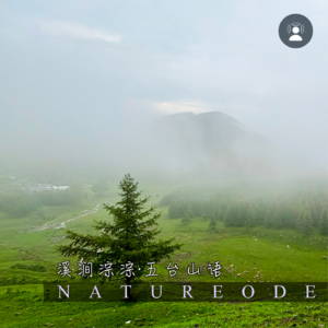溪涧淙淙·五台山语