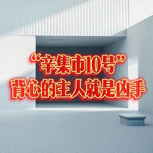166.“辛集市10号”背心的主人就是凶手｜老警察讲故事