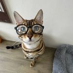博克再睡会