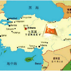 土耳其为何迟至1945年才参加二战