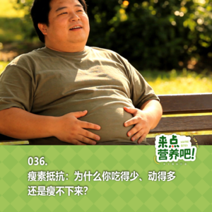 036.瘦素抵抗：为什么你吃得少、动得多，还是瘦不下来？