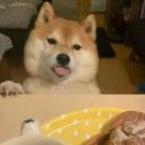 水上勉