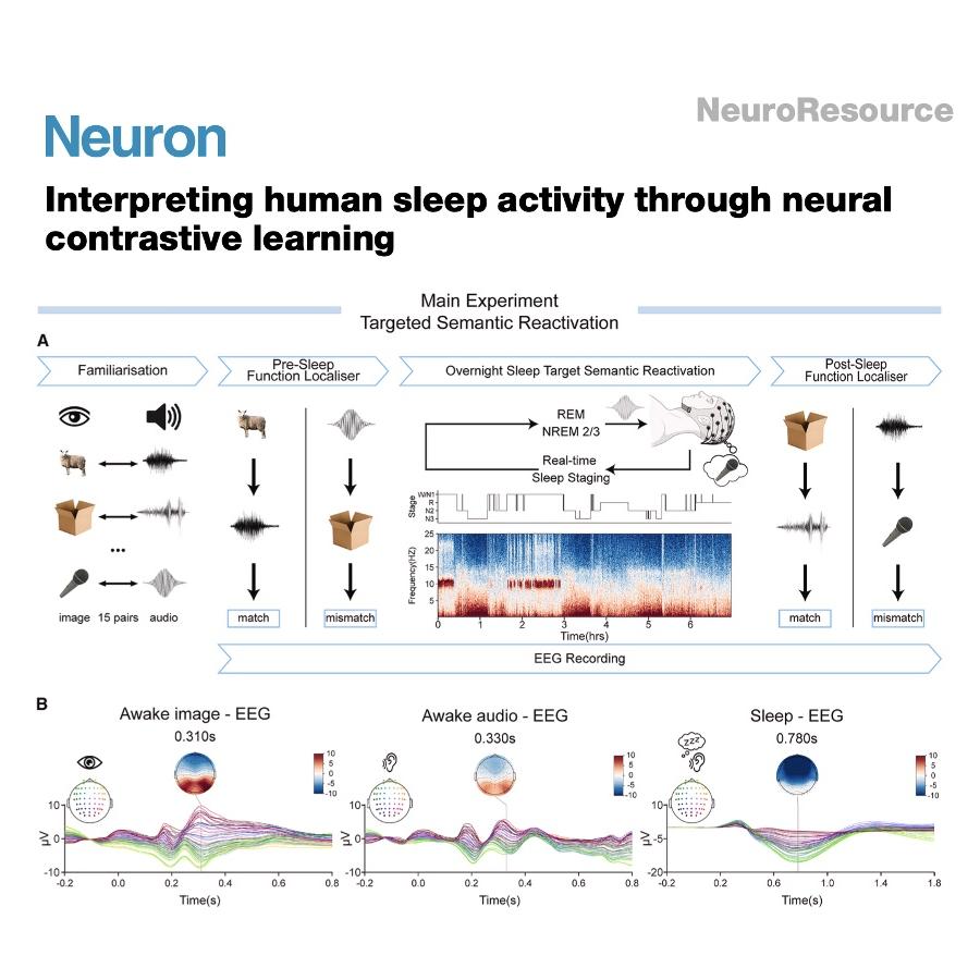915-Sleep Interpreter: for Real-Time Memory Decoding episode artwork