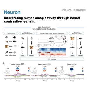 915-Sleep Interpreter: for Real-Time Memory Decoding