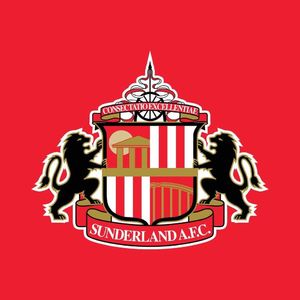 14.本赛季最大的黑马,原来是一只黑猫~25/26赛季英超20队盘点(十四):桑德兰