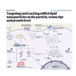 406-Targeting and Tracking mRNA Lipid Nanoparticles
