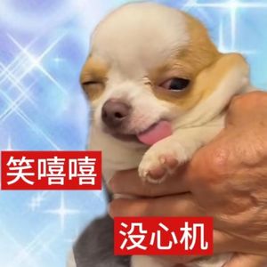 为什么我们要读历史？怎么真正读懂历史？