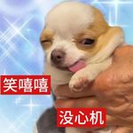 为什么我们要读历史？怎么真正读懂历史？