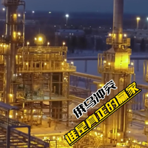 俄乌冲突谁才是真正的赢家