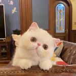 与君书