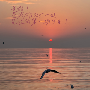 做完这个新年计划，缝缝补补我们的生活又上路啰！