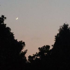 podcaster-avatar