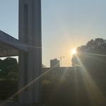 swj阿静
