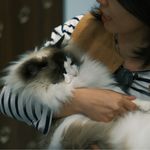 大脑门