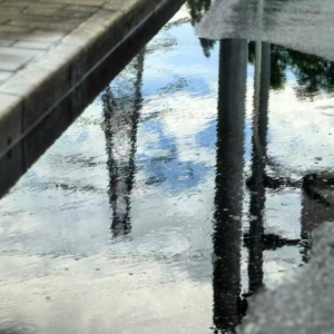 Vol.42 从不自信到一路顺风顺水，她到底做对了什么？