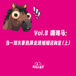Vol.8 嘶鸣马 | 当一对夫妻选择走进婚姻咨询室（上）
