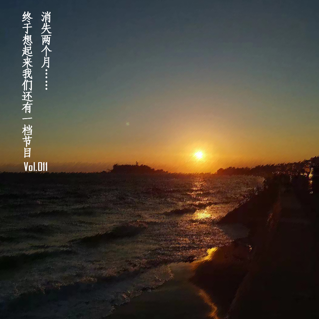 Vol.011 消失两个月，终于想起来我们还有一档节目 episode artwork