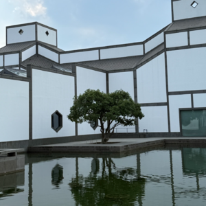 Vol.8 3年2次晋升，大厂百万年薪，抑郁一年后自我恢复