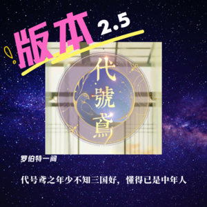 第十五回 代号鸢之年少不知三国好，懂得已是中年人