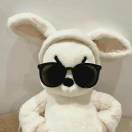 dongYee