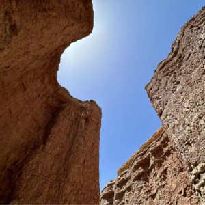 完美情人是精神诈骗还是精神乐园?