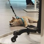 水水王