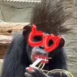 我试试能不能改