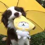 辣味蒜香虾