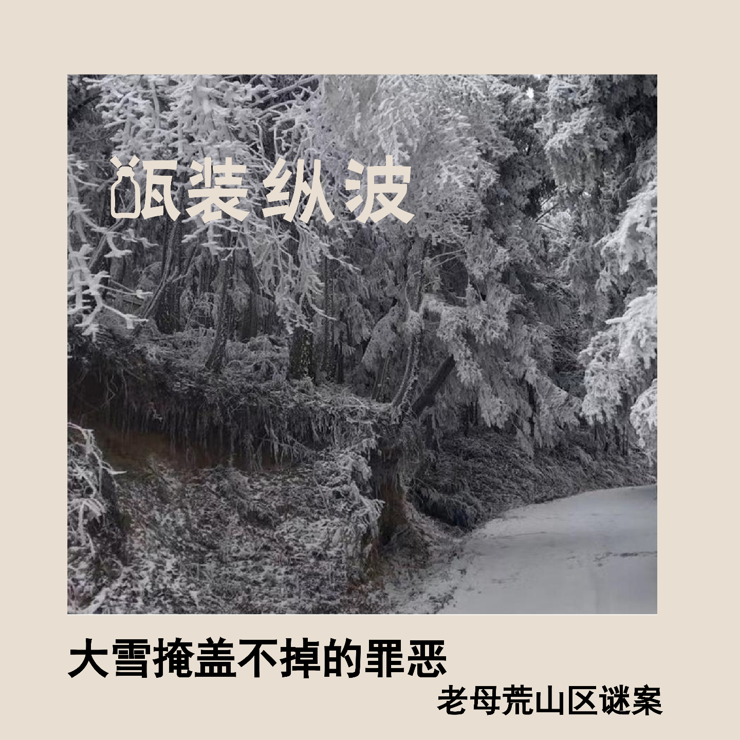 2.大雪掩盖不掉的罪恶：湖北老母荒山区谜案 episode artwork